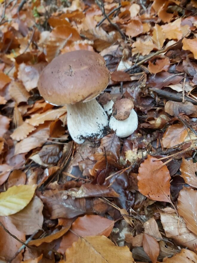 Erfolg zum Saisonende (3): halb versteckt