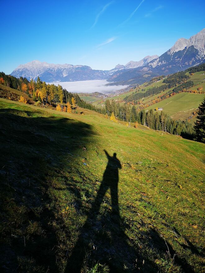 Herbst Schattenspiele