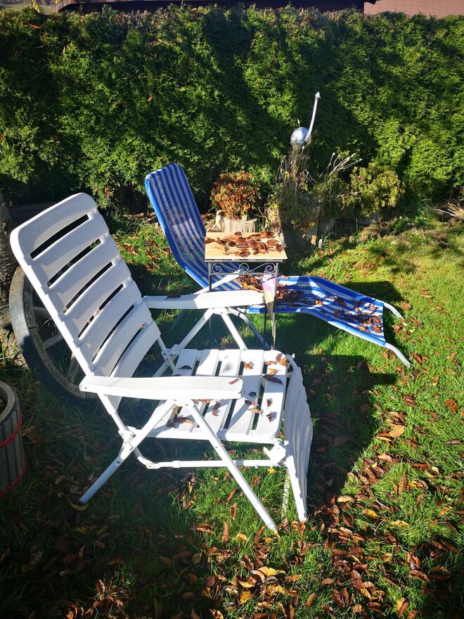 Herbst Dekor