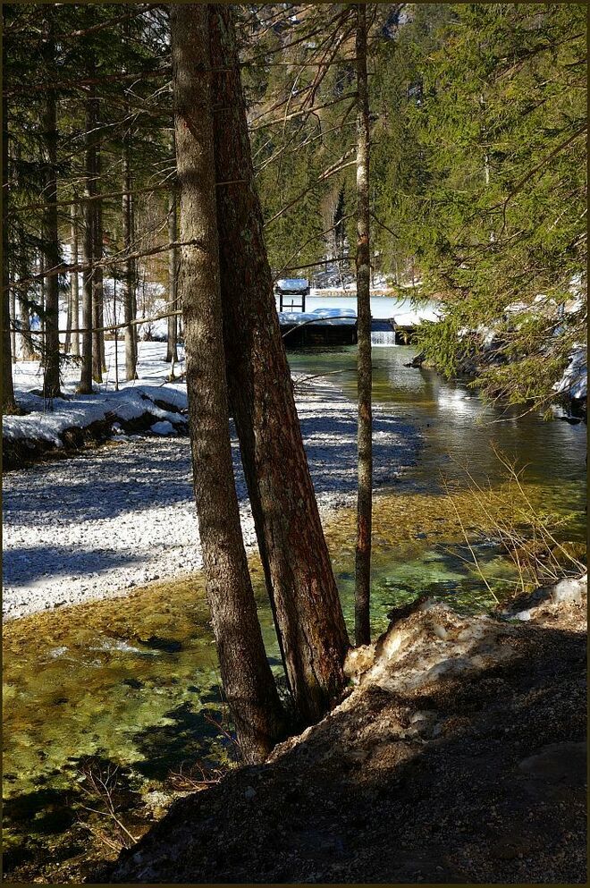 Winterblick zum Schiederweiher