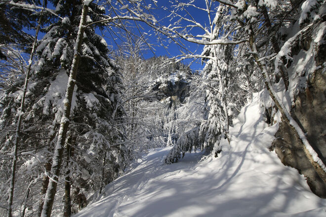 Pillstein Wintermärchen