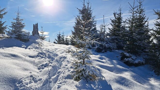 Winterfreude auf einsamen Wegen