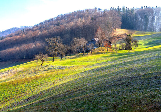 Gehöft