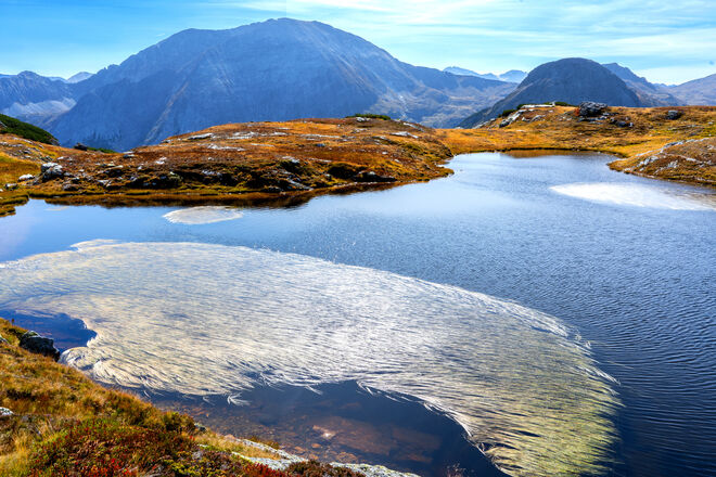 Seegras im Bergsee