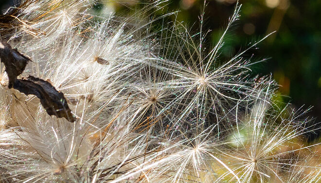 Für ein neues Leben