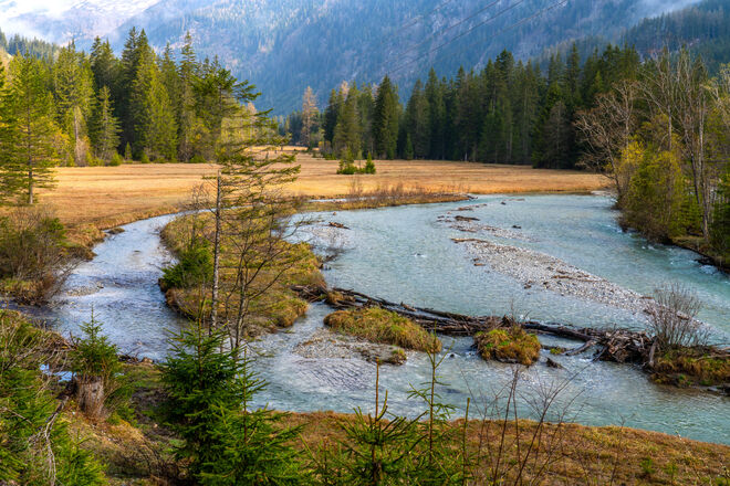 Natur im Fluß