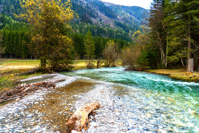 Flußnatur