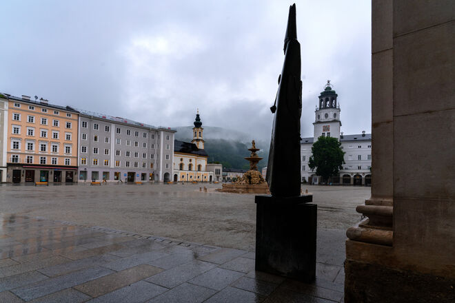 Der Große Kardinal im Regen
