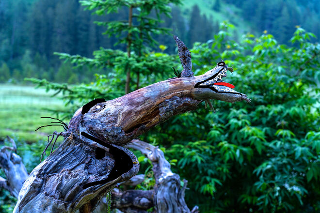 Der verwunschene Waldgeist