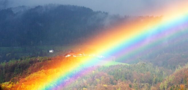 Durch den Regenbogen sehen