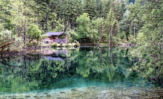 Grünes Farbenspiel im Bluntausee