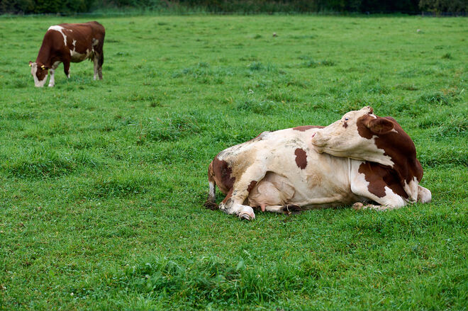 Ruhig und entspannt