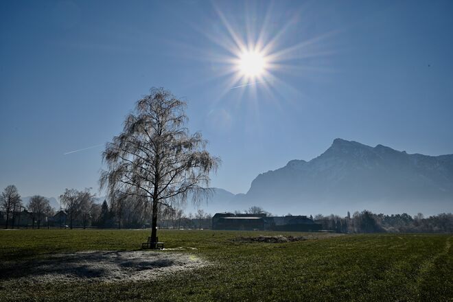 A Bankerl in da Sun ...