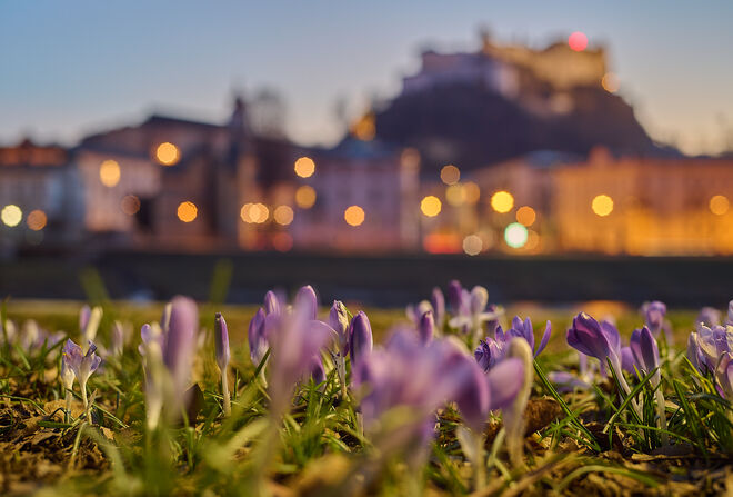 Frühlingserwachen