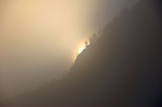 Nebel als Motiv