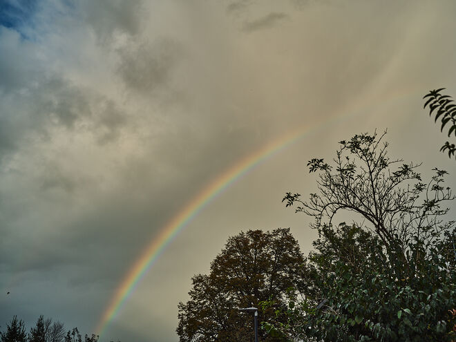 Ein Regenbogen