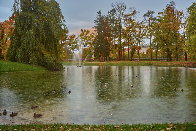 Im Volksgarten