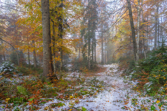 Halb Winter halb Herbst