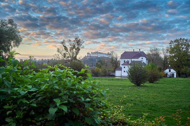 Von der Hofhaymer Allee