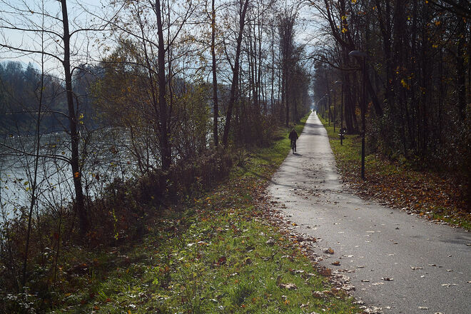 Treppelweg