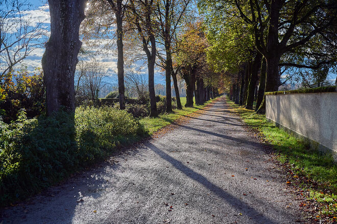Hellbrunner Allee