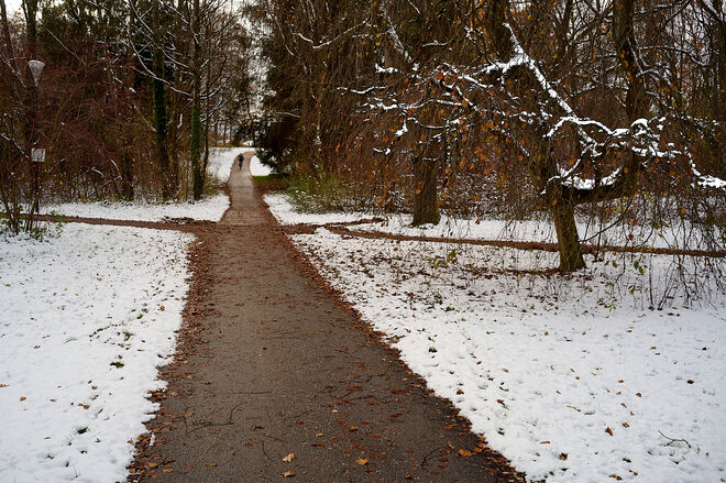 Hans - Donnenberg Park