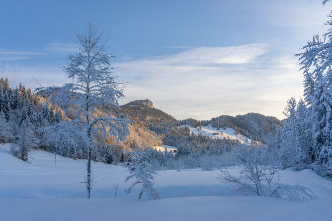 Sonne und Schatten