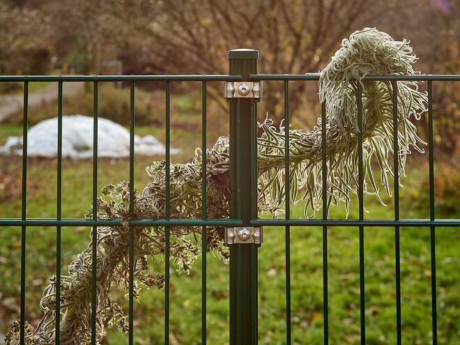 Im Botanischen Garten