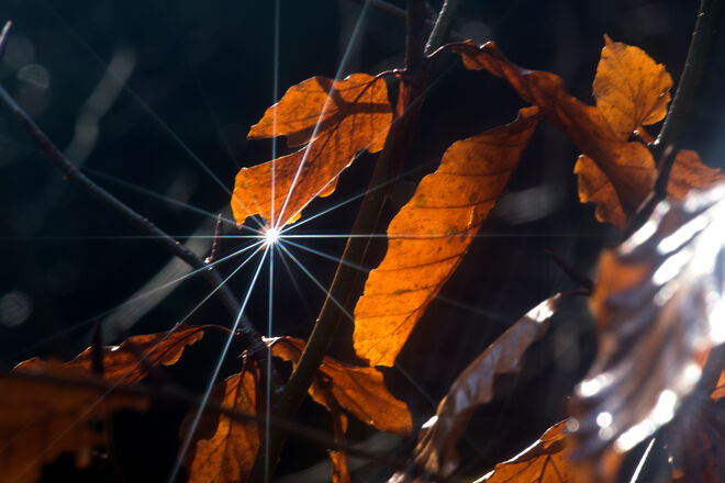 Herbst kann auch strahlen