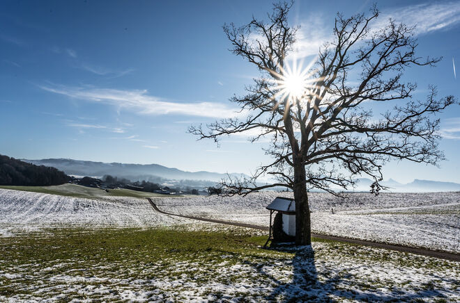 Schnee gibts im Flachgau nimmer viel …