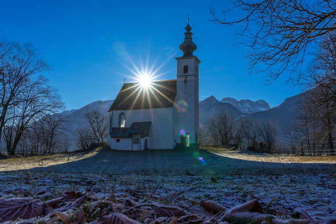 Gegenlicht
