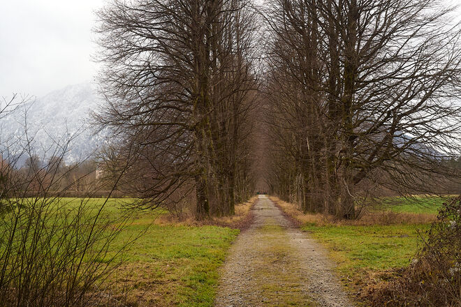 Schlossallee mit Schloss Anif
