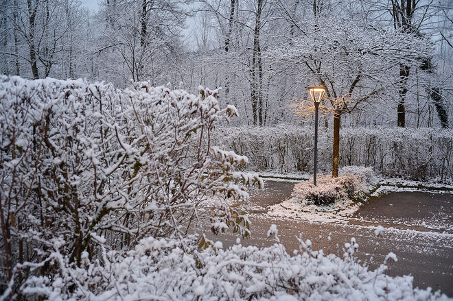 Josefiaumorgen