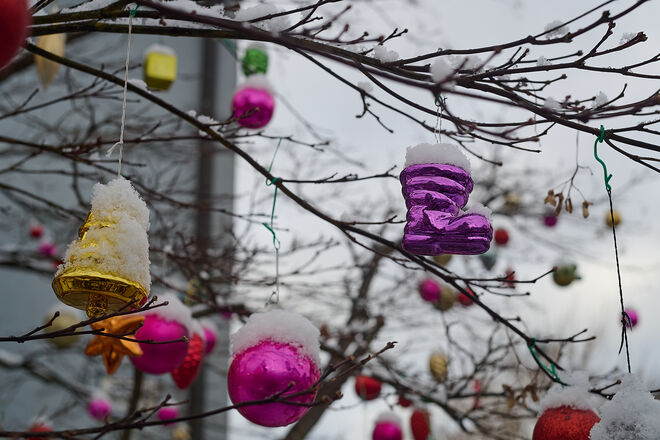 Der Bloggemeinschaft und dem SN-Team wünsche ich ein friedvolles Weihnachtsfest