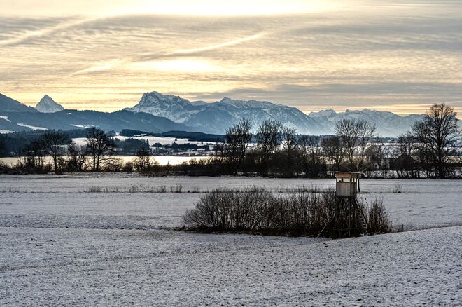 Winterruhe im Wenger Moor
