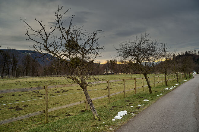 Schneereste