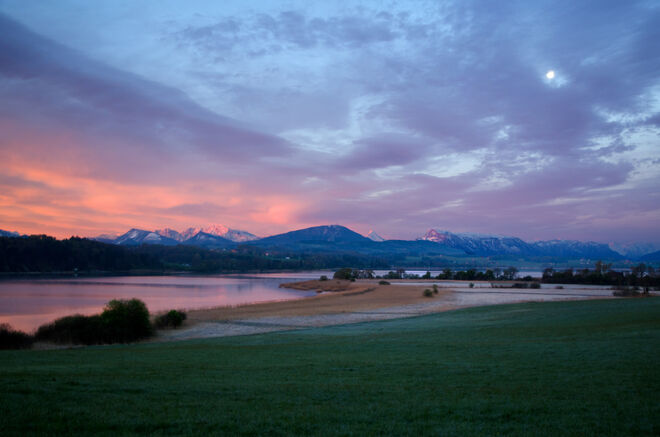Morgenstimmung