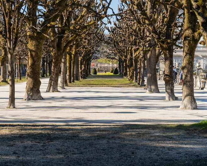 Kastanienallee zum Frühlingsbeginn