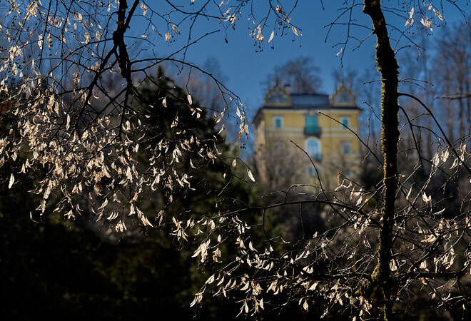 Waldemsschlösschen