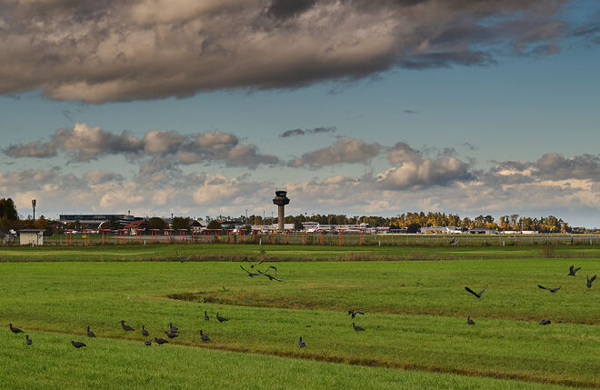Wenn sie den Abflug verpassen nehmen sie das Flugzeug ; )