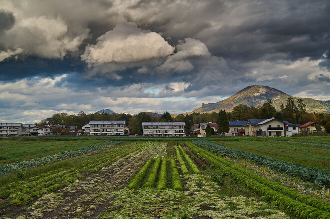 Vom Kapellenweg Viehhausen