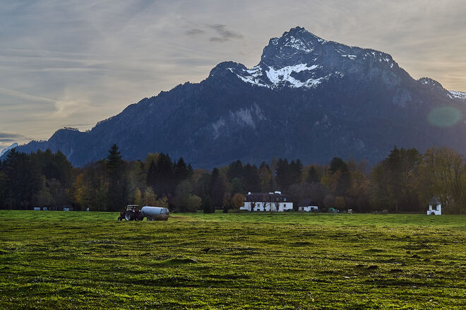 Fleißiger Landwirt