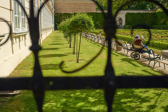 Blick in den Rosengarten