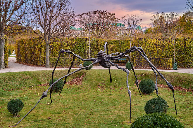 Spider