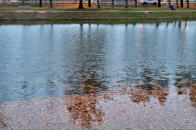 Volksgarten