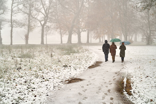 Schneetreiben in der Hellbrunner Allee