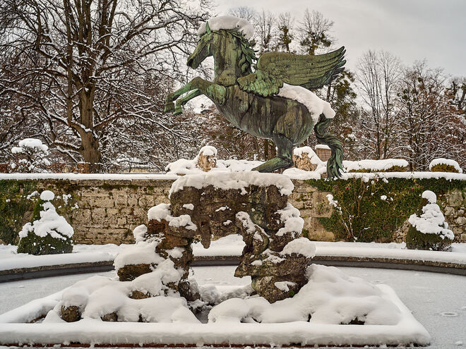 Pegasus tobt gerne im Schnee ; )