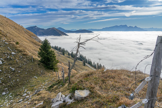 Weitblick