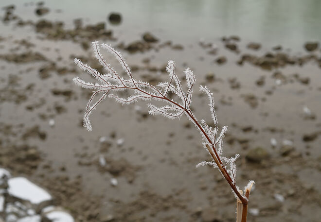Am Salzachufer