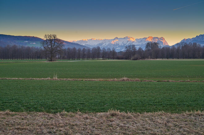 Die Vegetation vor einem halben Jahr
